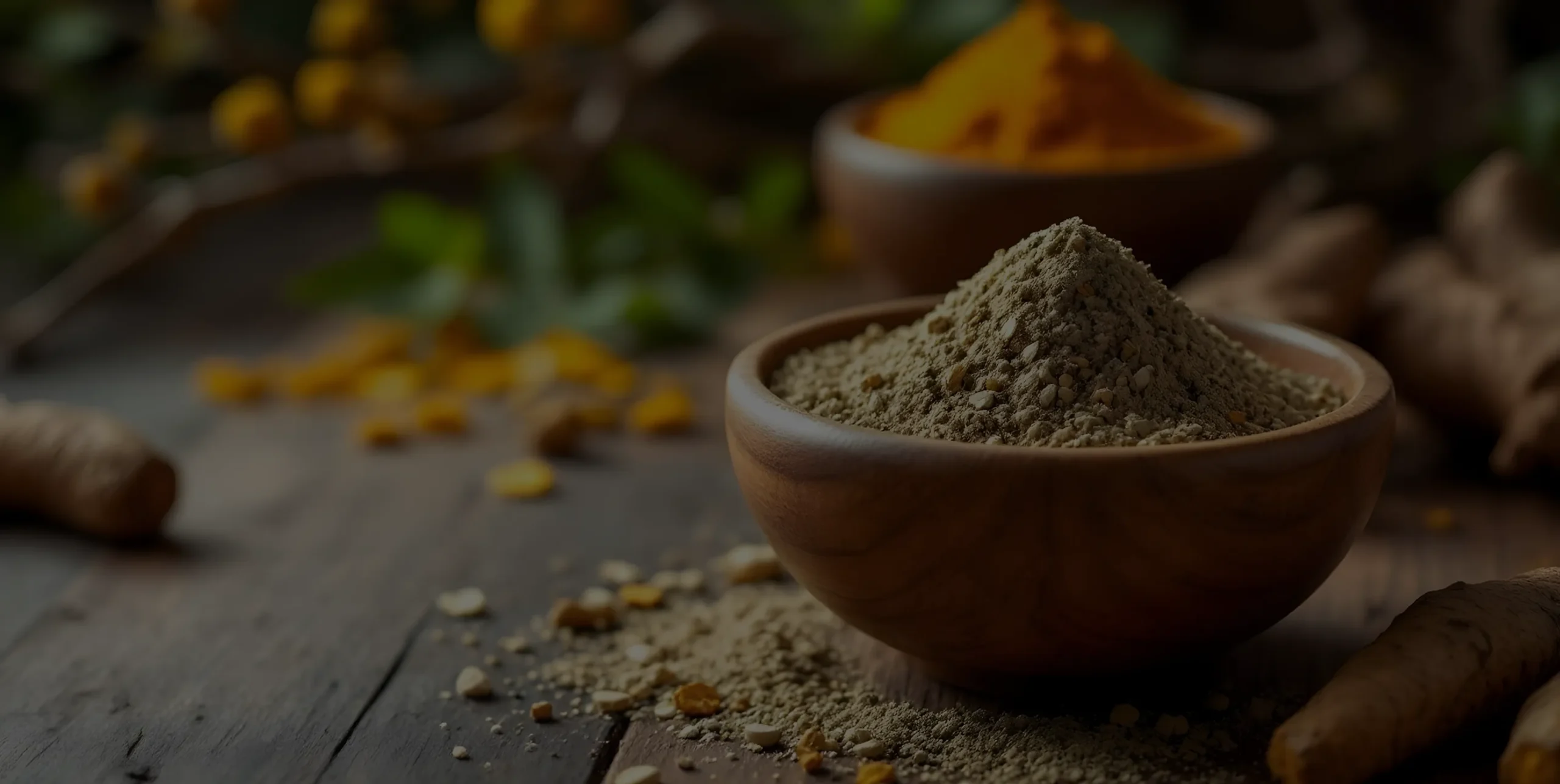 67f6aaf24a87e2a1e3c082f1_6de562b501c85e6e21a718716c42ae96_Anjum-extractions