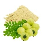 Amla (Emblica officinalis)